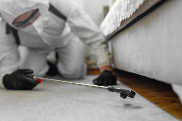 Professional Bed Bug Control technician working in Caldwell Parish County, LA